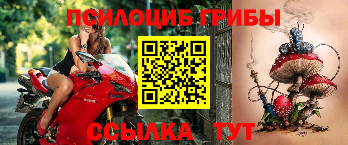 Псилоцибиновые грибы мухоморы Гай